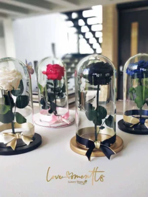 Deluxe Rose Rosas preservadas Love MOments Floristeria Medellin