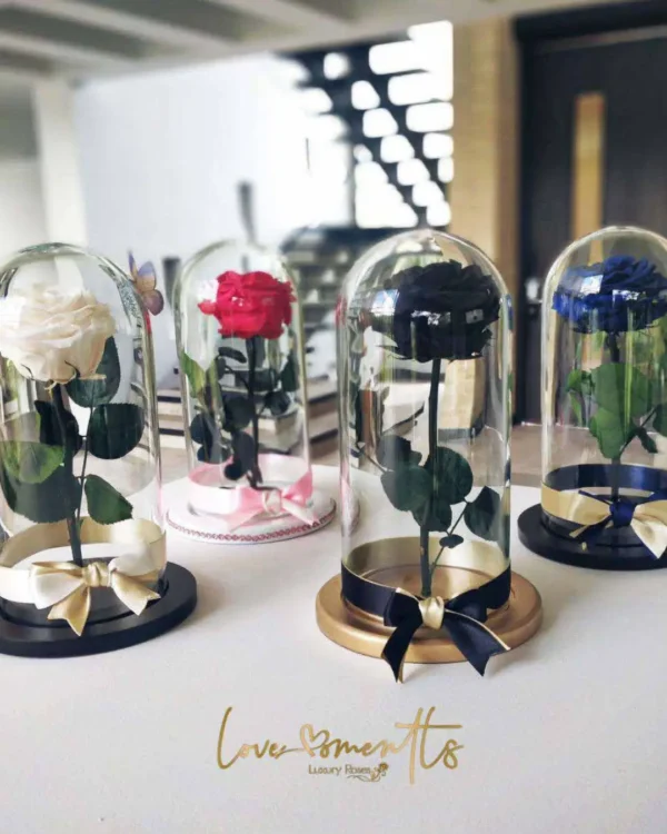 Deluxe Rose Rosas preservadas Love MOments Floristeria Medellin