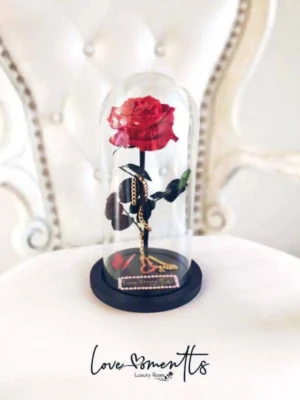 Elegance Rose rosa preservada love moments floristeria medellin