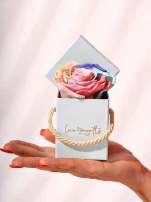 Little Love rosas preservadas love moments floristeria medellin