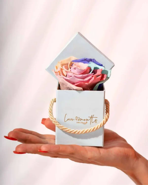Little Love rosas preservadas love moments floristeria medellin